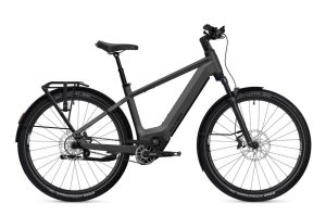Flyer G1 Goroc TR 7.33 - 800 Wh - 29 Zoll - Diamant - 2026