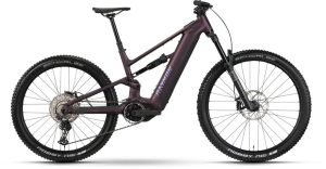 Raymon Ravor Comp - 840 Wh - 29 - 27,5 Zoll - Fully