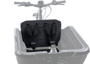 Cube Sicherheitsgurt CARGO