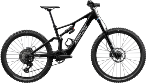Amflow PX Carbon - 700 Wh - 29 - 27,5 Zoll - Fully