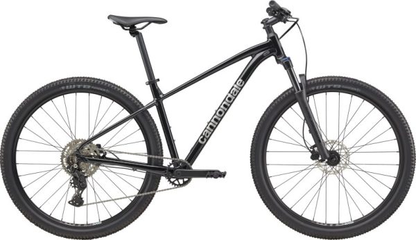 0196870182479 Cannondale Trail 2 - 29 Zoll - Diamant - 2026